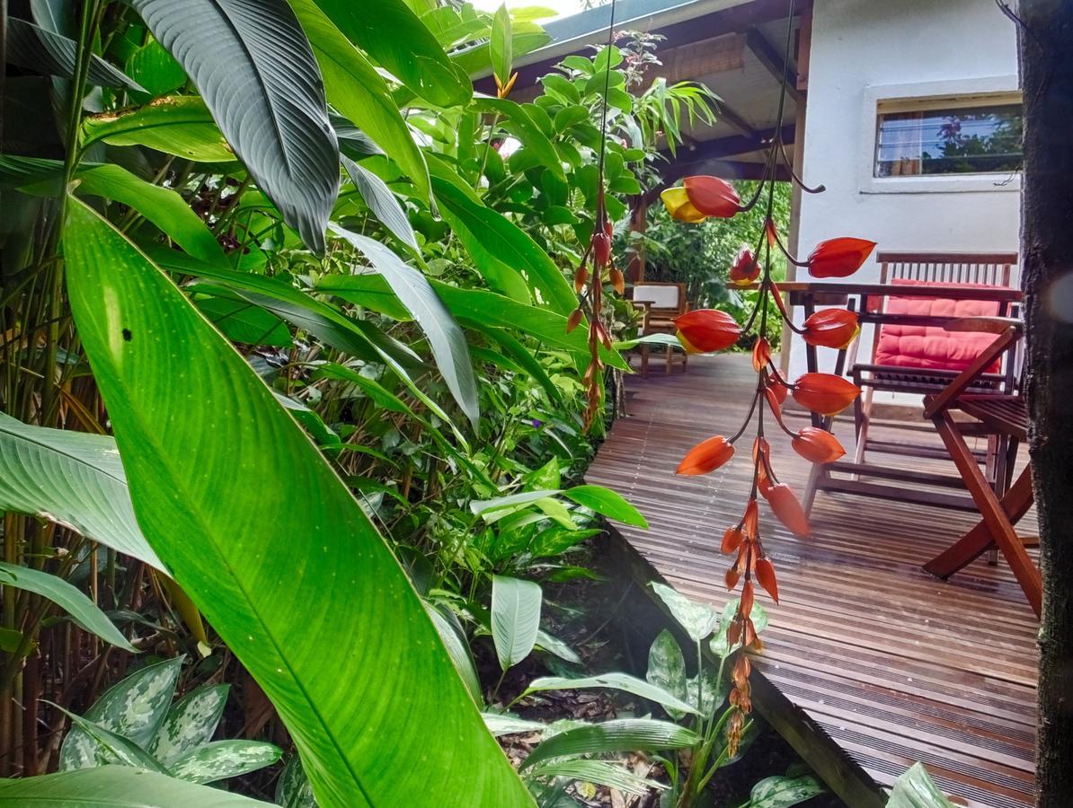 Le Parc Aux Orchidees Villa Pointe-Noire Dış mekan fotoğraf